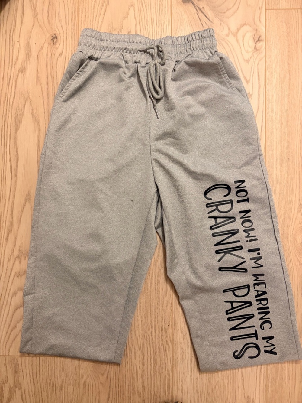 3/$20 Not Now! I’m Wearing My Cranky Pants Gray Sweatpants Joggers Size Small